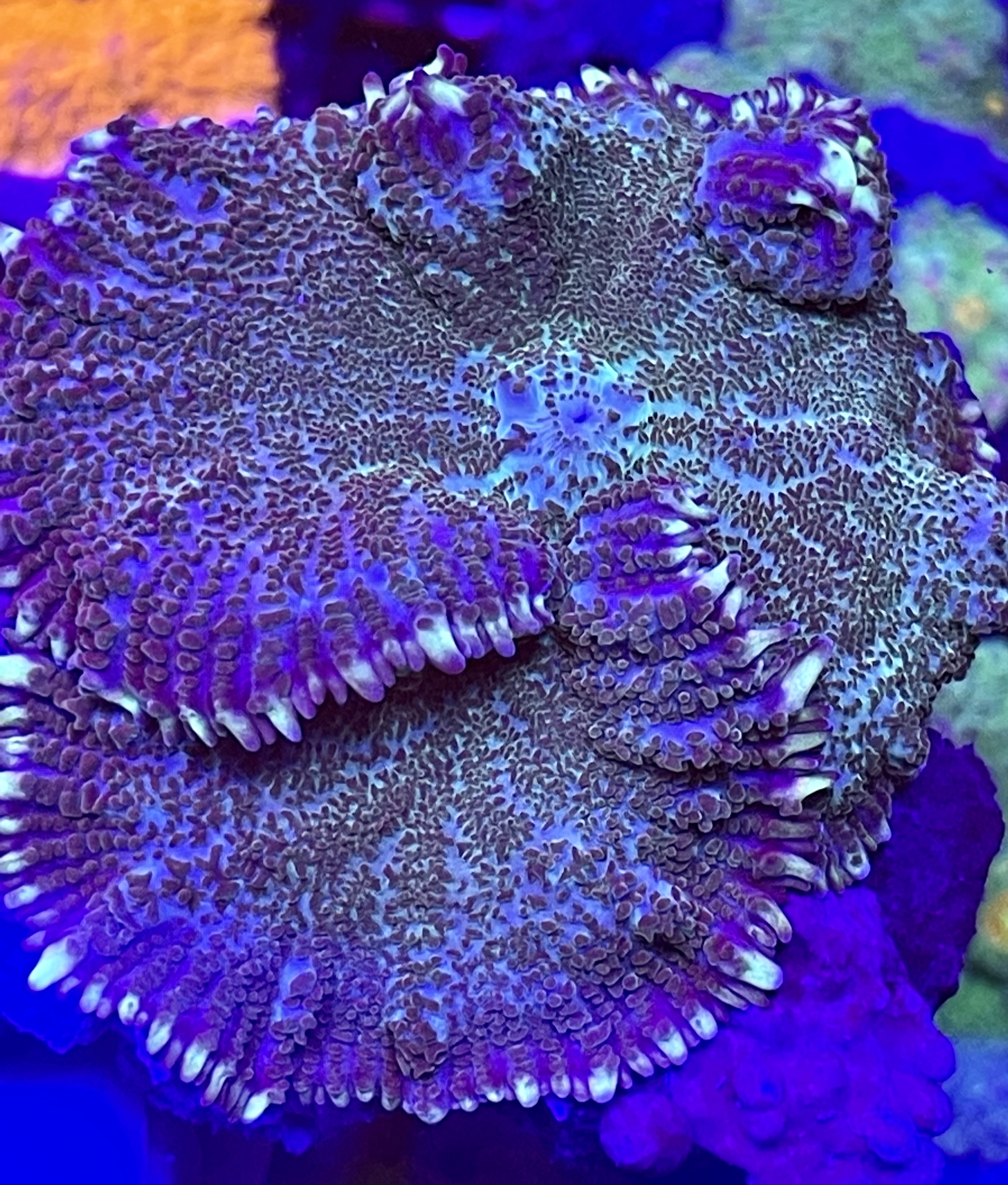A26969C0-E988-42DA-B7A8-D11F26208827