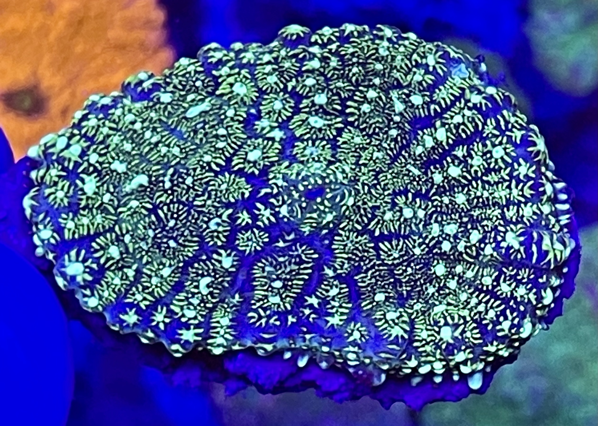 E5DE467D-E3C7-4935-B494-367A66AF003E