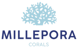 Millepora Corals